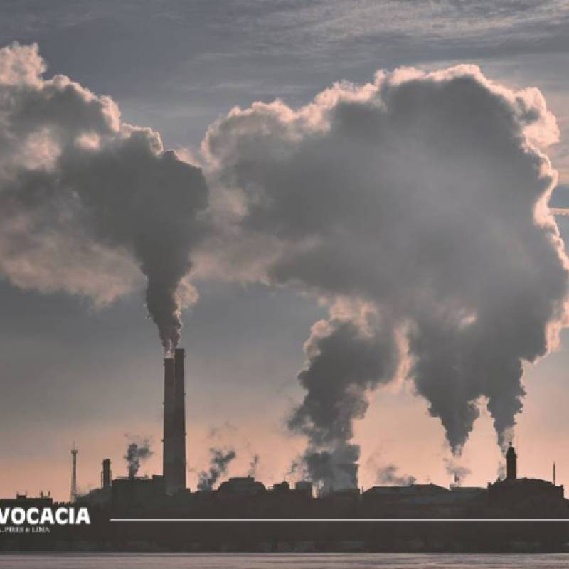 STJ decide que crime de poluição ambiental se configura mesmo sem dano comprovado 